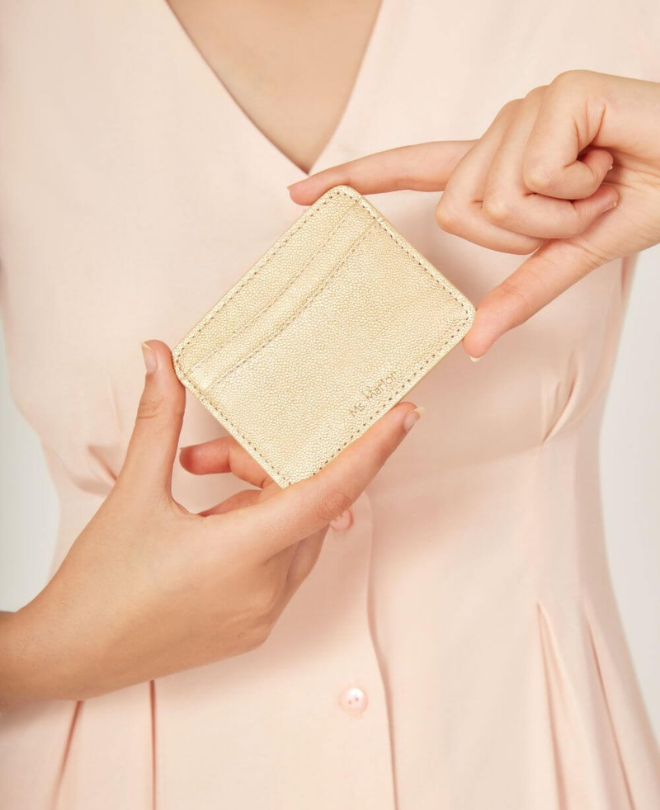 Safe Cardholder